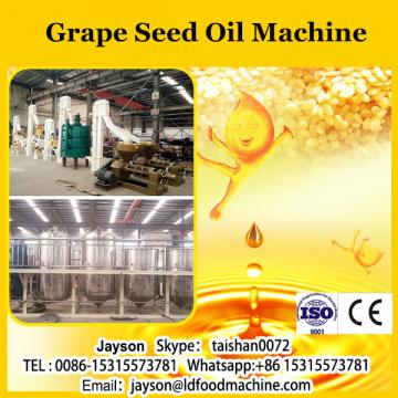 6YL-125 Eternal win machinery fully automatic factory wholesale corn soybean peanut tea seeds commercial use oil press machine