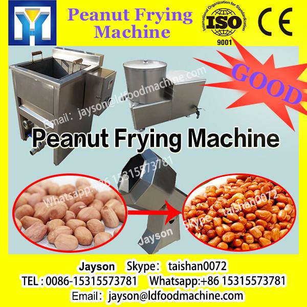 industrial peanut frying production line/roasted and salted peanuts machine