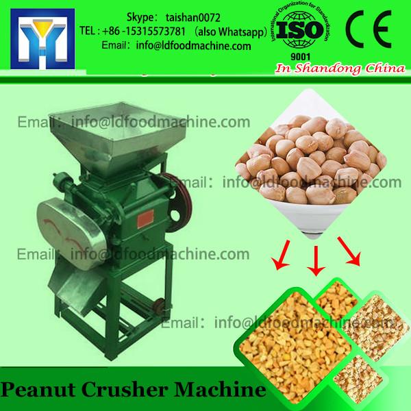 low price bone paste disintegrator/ Fish sauce grinding machine/ Royal jelly mill