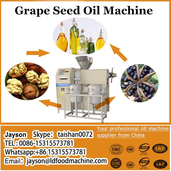 Automatic grape seed oil extraction machine small oil press equipment for sale