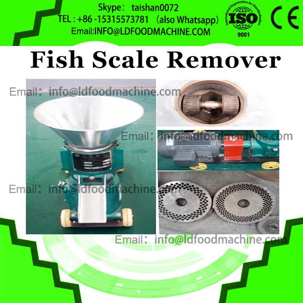 Automatic fish scales removing machine